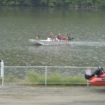 article image - search 1